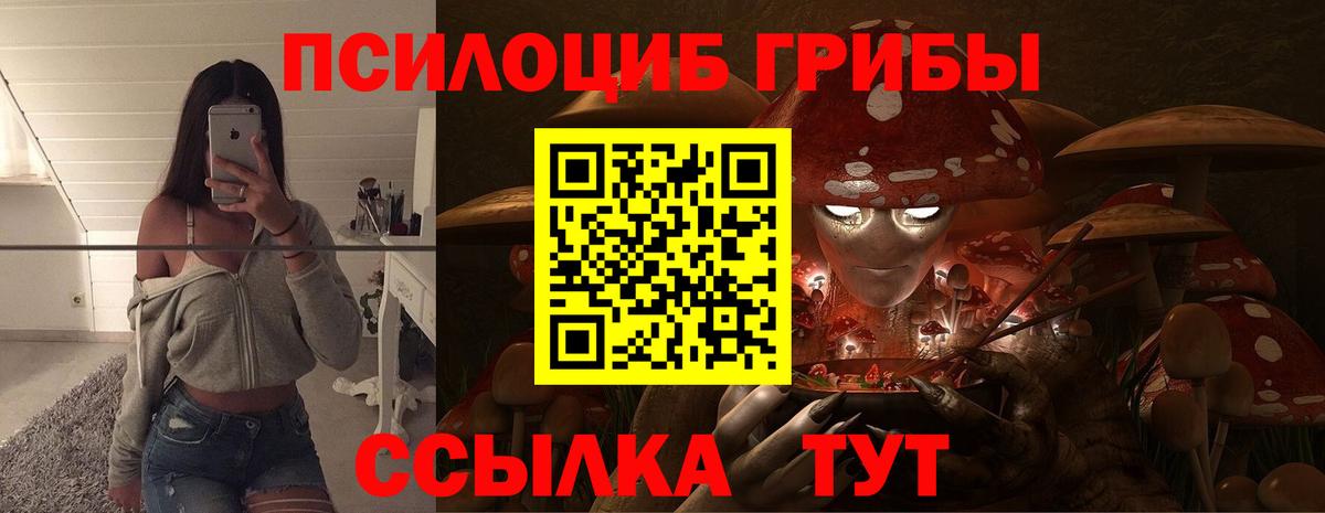 Электрогорск  Псилоцибиновые грибы Cubensis  Вход с VPN 